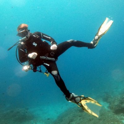 d-dive 7 d-dive 7
